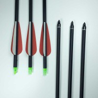 Flecha de fibra de carbono spine 600